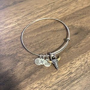 Alex Ani Silver Skull bracelet